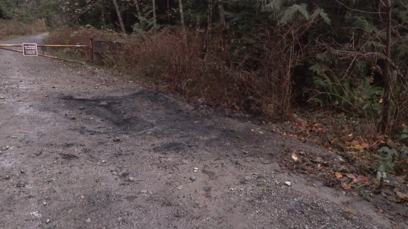 Burn marks could be seen on the ground along the remote gravel road where the vehicle was found. (CTV)