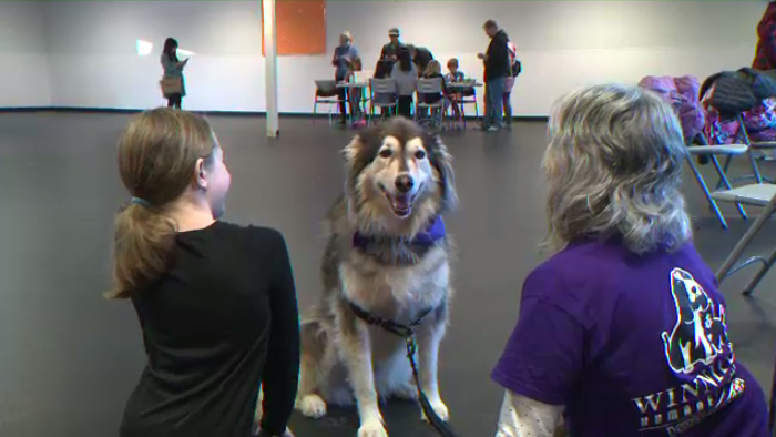 Parents register their children ahead of time, and then show up at 45 Hurst Way with a new pet toy, treat, or accessory donation in order to participate. (Source: Dan Timmerman, CTV News)