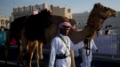 A guard takes his camel for a ride outside the Amiri Diwan in Doha, Sunday, Nov. 27, 2022. (AP Photo/Natacha Pisarenko)
