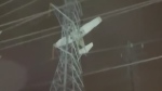 Small plane crashes into electrical tower in U.S.
