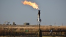 A flare for burning excess methane, or natural gas, from crude oil production, is seen at a well pad east of New Town, N.D., May 18, 2021. (AP Photo/Matthew Brown, File)