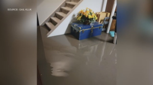 A picture of Gail Kluk's basement which was flooded on Nov. 19. Nov. 28, 2022. (Source: Gail Kluk)