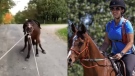 The first image shows a video of a horse being dragged by a rope (Facebook). Two sources have identified the second photo as Solstice Pecile, a 23-year-old woman charged under the provincial welfare services act (Wishing Stone Farm).