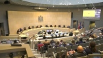 Dozens of people spoke to city council at the first of two public hearings on the next four-year budget cycle (CTV News Edmonton/Jeremy Thompson).