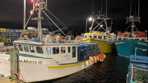 Lobster fishing boats are pictured in Eastern Passage, N.S., on Nov. 29, 2022. (Carl Pomeroy/CTV)