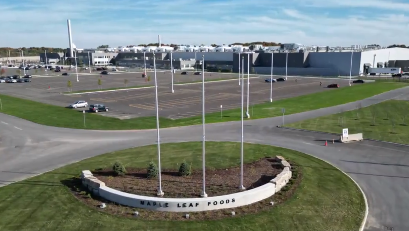 The new Maple Leaf Foods plant in London, Ont. as seen in a promotional video. (Source: Maple Leaf Foods)