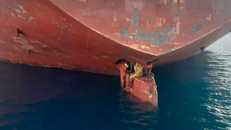 A closeup view of the stowaways on a ship's rudder