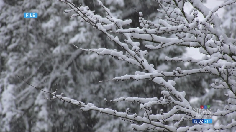  Snowfall warnings issued in Metro Vancouver 