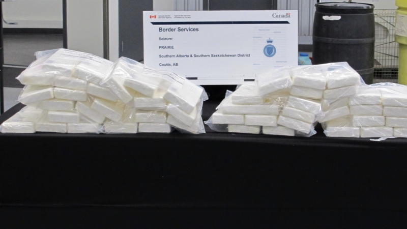 Packages of cocaine seized during the Nov. 21 search at the Coutts border crossing of a transport vehicle hauling produce into Canada. (RCMP)