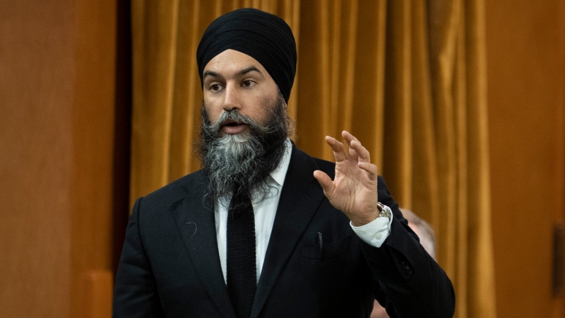 New Democratic Party leader Jagmeet Singh rises during Question Period, Wednesday, November 23, 2022 in Ottawa. THE CANADIAN PRESS/Adrian Wyld 