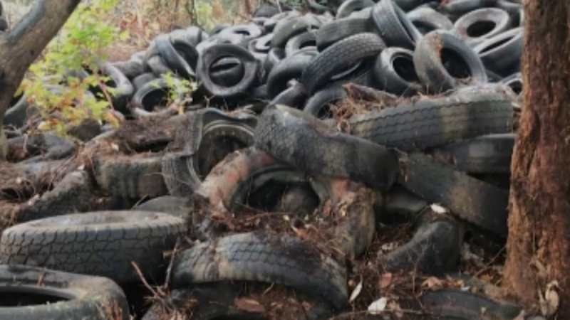Thousands of tires were found on a remote B.C. island and removed by volunteers