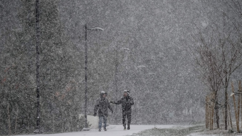 Heavy snow falls as pedestrians walk through Central Park in Burnaby, B.C., Nov. 29, 2022. THE CANADIAN PRESS/Darryl Dyck