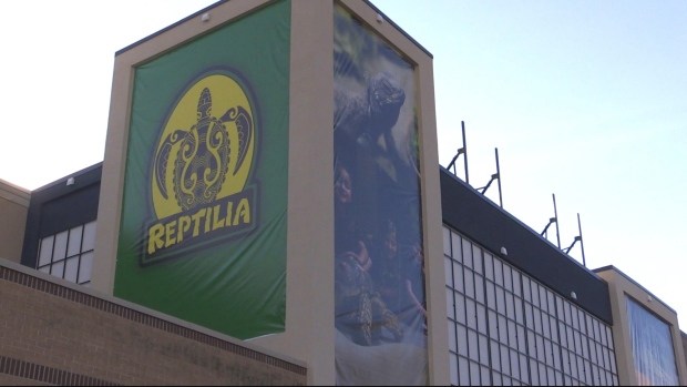 A Reptilia sign at Westmount Mall in London, Ont. as seen on Nov 29, 2022. (Daryl Newcombe/CTV News London)
