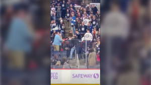 Multiple videos circulated on social media following the incident, showing the fight and the ensuing arrests during Tuesday night's game, which ended in a 5-0 victory for the Jets. (Source: Allan Roy/Facebook)