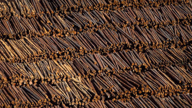 Logs are seen in an aerial view stacked at a sawmill in Grand Forks, B.C., Saturday May 12, 2018. (THE CANADIAN PRESS/Darryl Dyck)