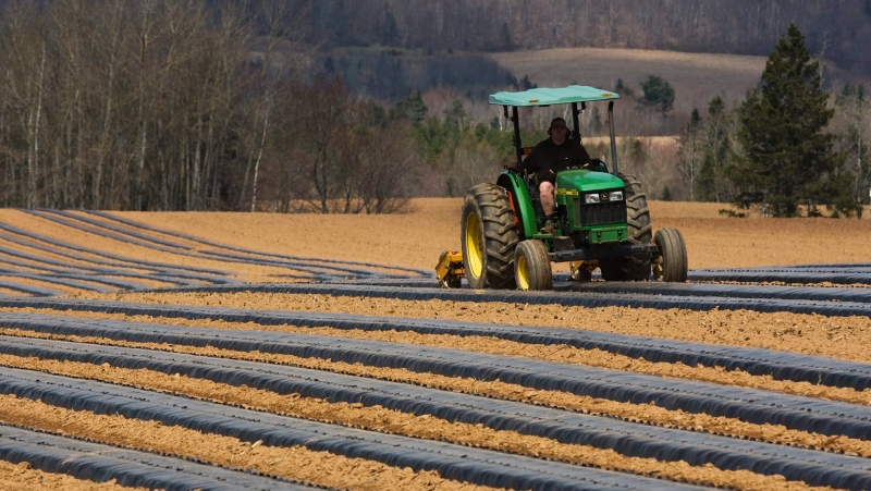 A farmer works a field in Sheffield Mills in Nova Scotia's Annapolis Valley on Thursday, April 22, 2010. (THE CANADIAN PRESS/Andrew Vaughan)