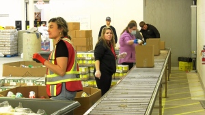 Food bank usage doubled since 2019: report