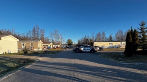 The New Brunswick RCMP and the Fredericton Police Force responded to a report of two shootings in the Hanwell Trailer Park just before 7 a.m. Friday. (Alyson Samson/CTV Atlantic)