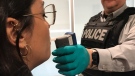It is mandatory for drivers to comply with an officer if they demand a breath sample, shown here, during a check stop. (Stefanie Davis / CTV News)
