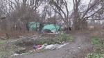 Debating homeless park encampments