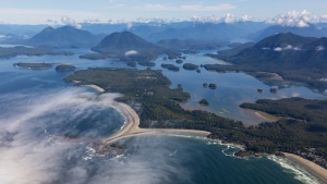 Researchers say an earthquake that hit Tofino, B.C. Nov. 24 marked a successful test of their early detection system. 