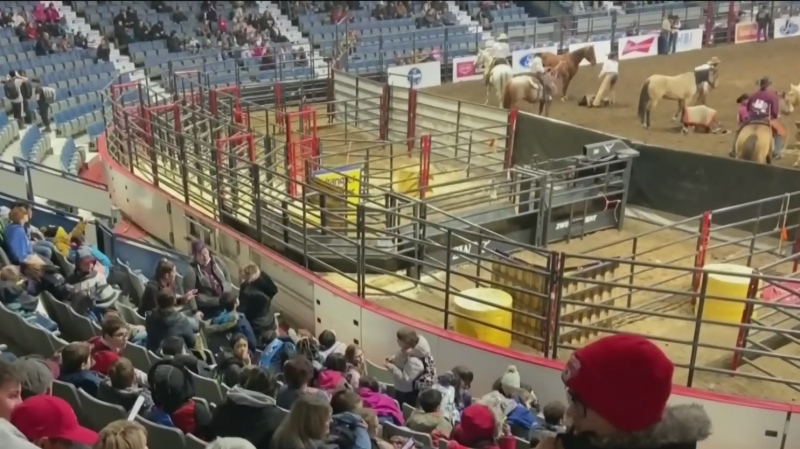 Agribition looks to inspire next generation 