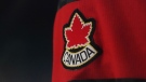 CTV National News: Discrimination in hockey 