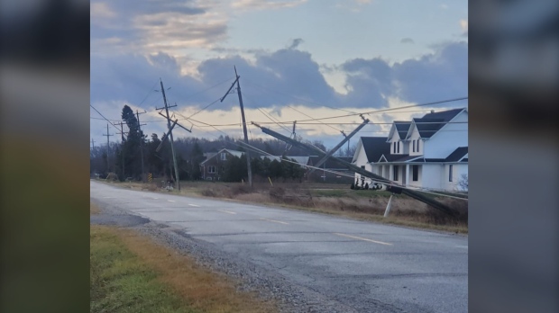 Fierce winds knocked down several hydro poles on Concession Road 3 North in Amherstburg, Ont. on Dec. 3, 2022. (Source: Nicholas Baggio)