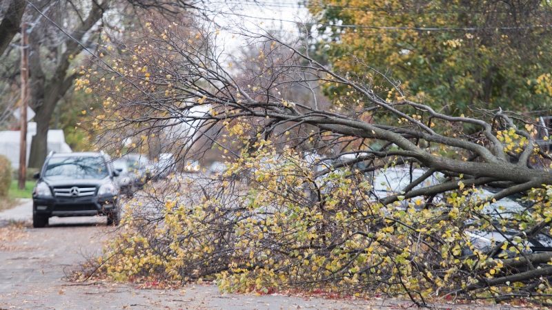 Broken branches are shown on a street in Montreal, Friday, November 1, 2019, as high winds have left hundreds of thousands of people without power in Montreal and Quebec.THE CANADIAN PRESS/Graham Hughes
