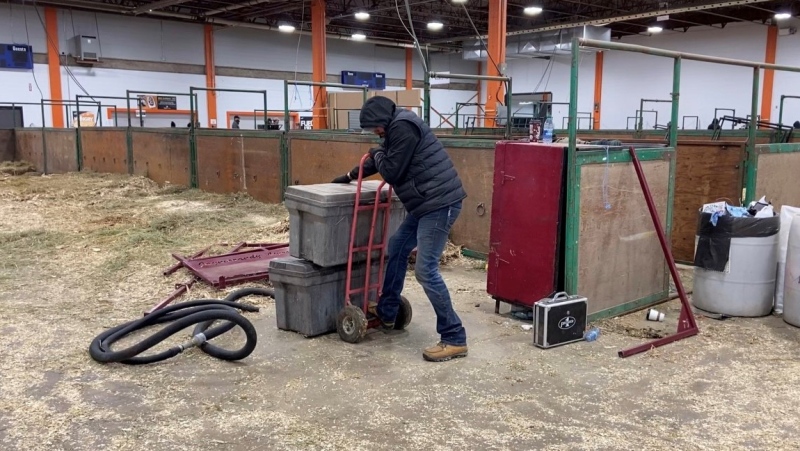 The 51st Canadian Western Agribition began its wrap up on Sunday, Dec. 4 following a successful week according to organizers. (Luke Simard/CTV News)