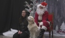 Pet Pics with Santa in Timmins