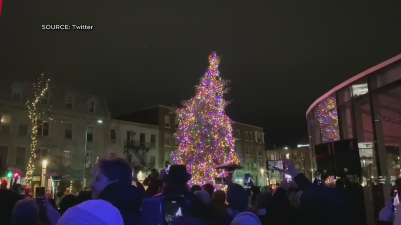  Christmas tree lit in Guelph 