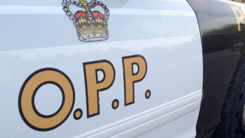 Ontario Provincial Police got a whole lot more than they expected Dec. 3 when they pulled over a driver just leaving the Town of Webbwood. (File)