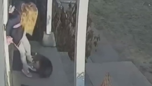 Raccoon attacks 5-year-old girl