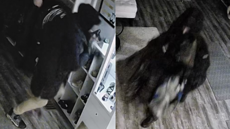 Police are trying to identify these people in connection to a break-in in Cambridge on Nov. 25, 2022. (Submitted/Waterloo Regional Police Service)