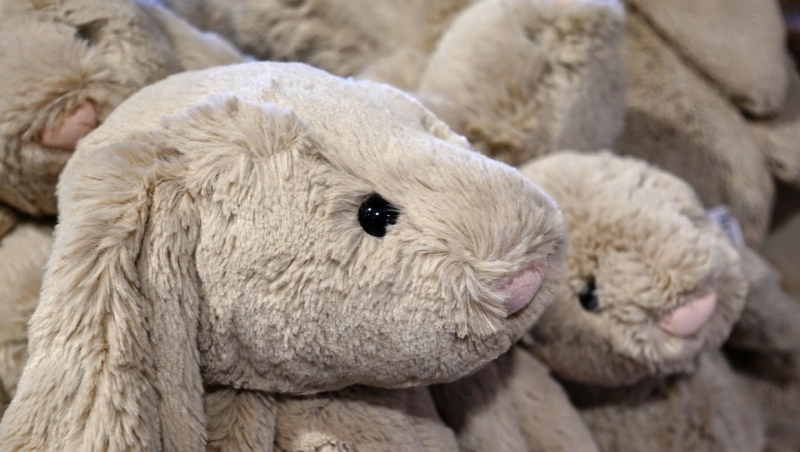 A stock photo of several plush bunnies in a pile. (pixabay/Aitoff)