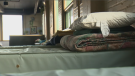 Available beds at a homeless shelter in Winnipeg. Dec. 5, 2022. (Source: Mason DePatie/CTV News)