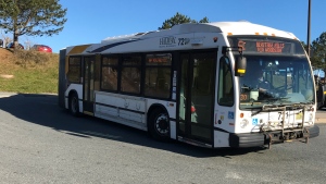 A Halifax Transit bus is pictured in Dartmouth, N.S., on Dec. 5, 2022. (Jonathan MacInnis/CTV Atlantic)