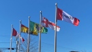 A MADD flag is pictured outside Riverview City Hall. (Alana Pickrell/CTV Atlantic)