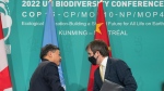 Steven Guilbeault, Minister of Environment and Climate Change, Canada, right, shakes hands with Huang Runqiu, President, COP15 and Minister of Ecology and Environment of China following the opening news conference of COP15 the UN Biodiversity Conference in Montreal, Tuesday, December 6, 2022. THE CANADIAN PRESS/Graham Hughes