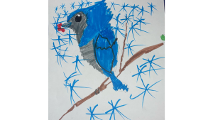'A Blue Jay holding some berries in its mouth' by Josephine, 7 years old, Grade 2, Mother Teresa Catholic School.
