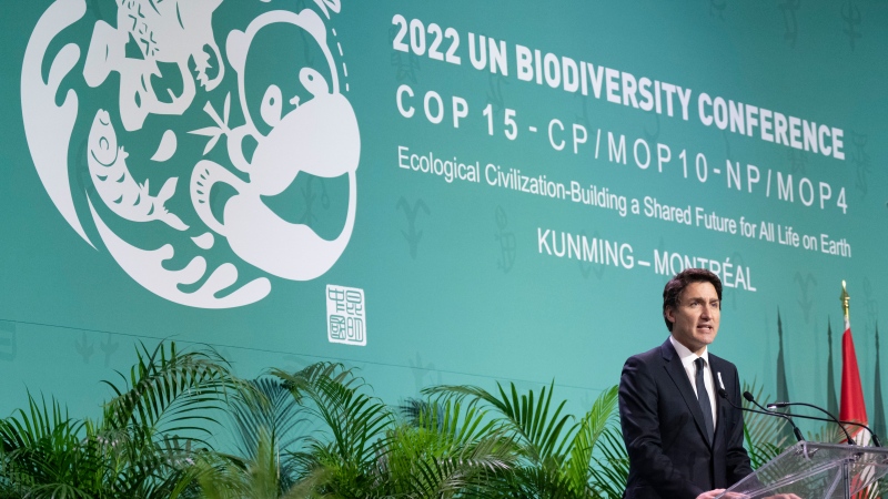 Prime Minister Justin Trudeau delivers remarks during the opening ceremony of the COP15 UN conference on biodiversity in Montreal on Tuesday, December 6, 2022. THE CANADIAN PRESS/Paul Chiasson