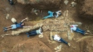 This is the first time the skull, neck and body of a plesiosaur have been found in one piece in Australia. (CNN/Queensland Museum)