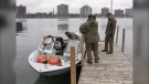 Members of the OPP Underwater Search and Recovery Unit prepare to search the Sarnia waterfront on Dec. 7, 2022. (Sean Irvine/CTV News London)