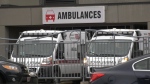 Christianna Williston, the director of communications and stakeholder relations with Ambulance New Brunswick, did confirm that 11 ambulances were parked outside of the emergency department at Georges Dumont on Tuesday at approximately 4 p.m.