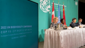 From left, Inger Andersen, Executive Director, UN Environment Programme, Elizabeth Maruma Mrema Executive Secretary, UN Convention on Biological Diversity, Huang Runqiu, President, COP15 and Minister of Ecology and Environment of China and Steven Guilbeault, Minister of Environment and Climate Change, Canada attend the opening news conference of COP15, the UN Biodiversity Conference, in Montreal, Tuesday, December 6, 2022. THE CANADIAN PRESS/Graham Hughes