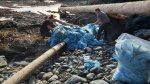 Debris believed to be from the 2021 Zim Kingston freighter spill is shown being collected off Palmerston Beach, on Vancouver Island, in this handout image provided by the by the environmental organization Epic Exeo from February 2022. Those who walk the beaches say debris from the 109 shipping containers that went overboard is still washing up onshore. THE CANADIAN PRESS/HO-Epic Exeo