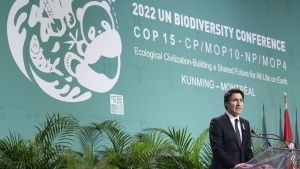 Prime Minister Justin Trudeau delivers remarks during the opening ceremony of the COP15 UN conference on biodiversity in Montreal, Tuesday, Dec. 6, 2022. Trudeau was unequivocal Wednesday when asked if Canada was going to meet its goal to protect one-quarter of all Canadian land and oceans by 2025. (THE CANADIAN PRESS/Paul Chiasson)