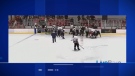 Police are investigating after an alleged racial slur at a hockey game west of Montreal prompted a brawl in which a coach was allegedly assaulted.