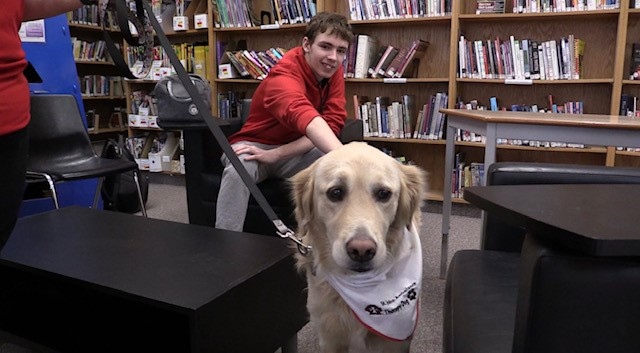 St. John Ambulance therapy dogs visit FE Madill Secondary School in Wingham, Ont. on Dec. 9, 2022. -The dogs are interacting with students on 25th anniversary of Bruce-Grey-Huron chapter of St. John’s Ambulance Therapy dog program. (Scott Miller/CTV News London) 